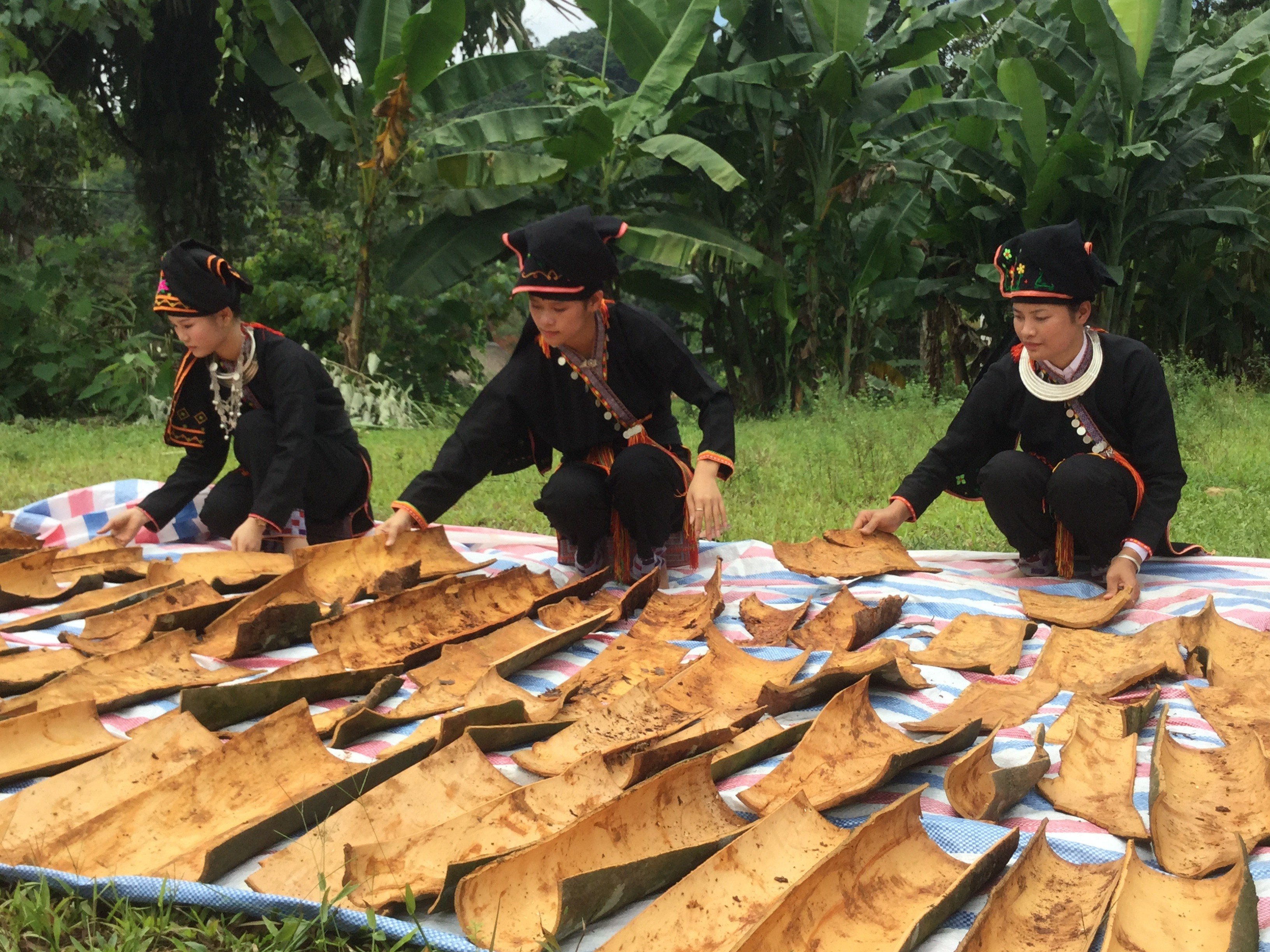 Passion fruit - "The New Light" for the forgotten Sekong commune - Laos